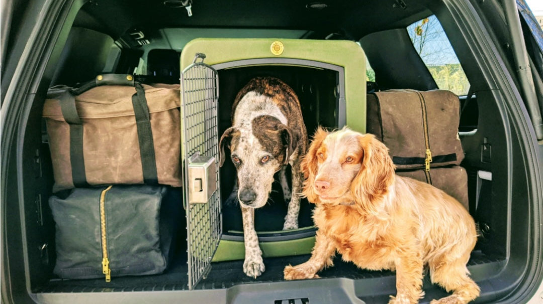 So Many Guns, So Little Secure Storage…Until Now