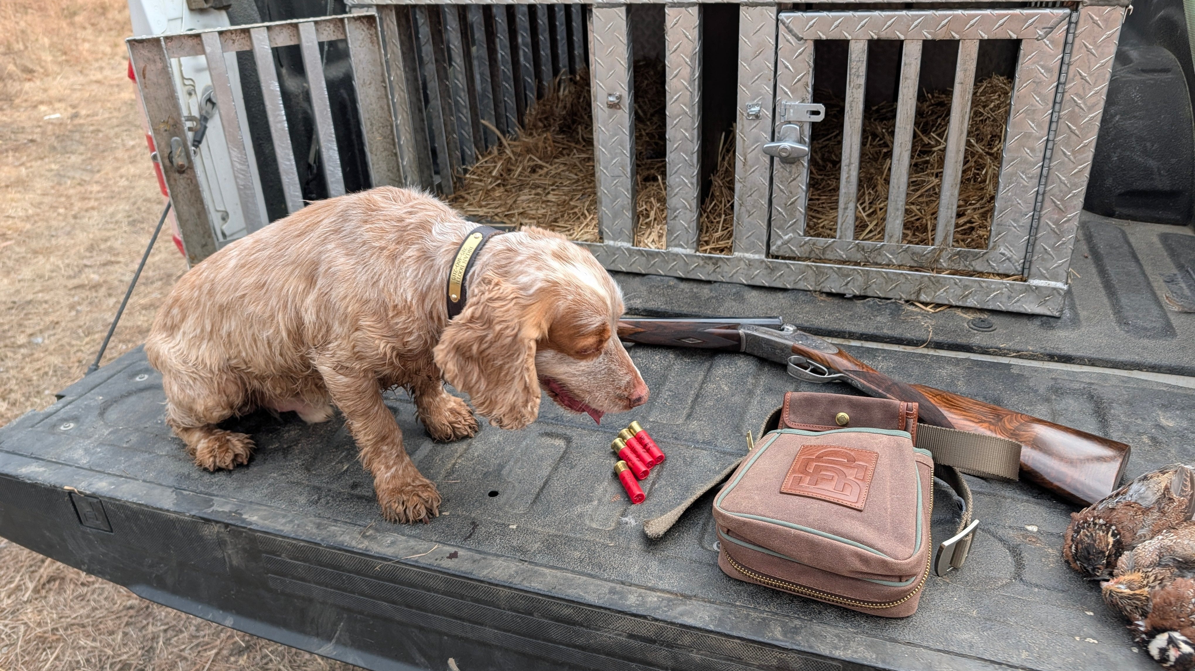 Back Woods Quail Club