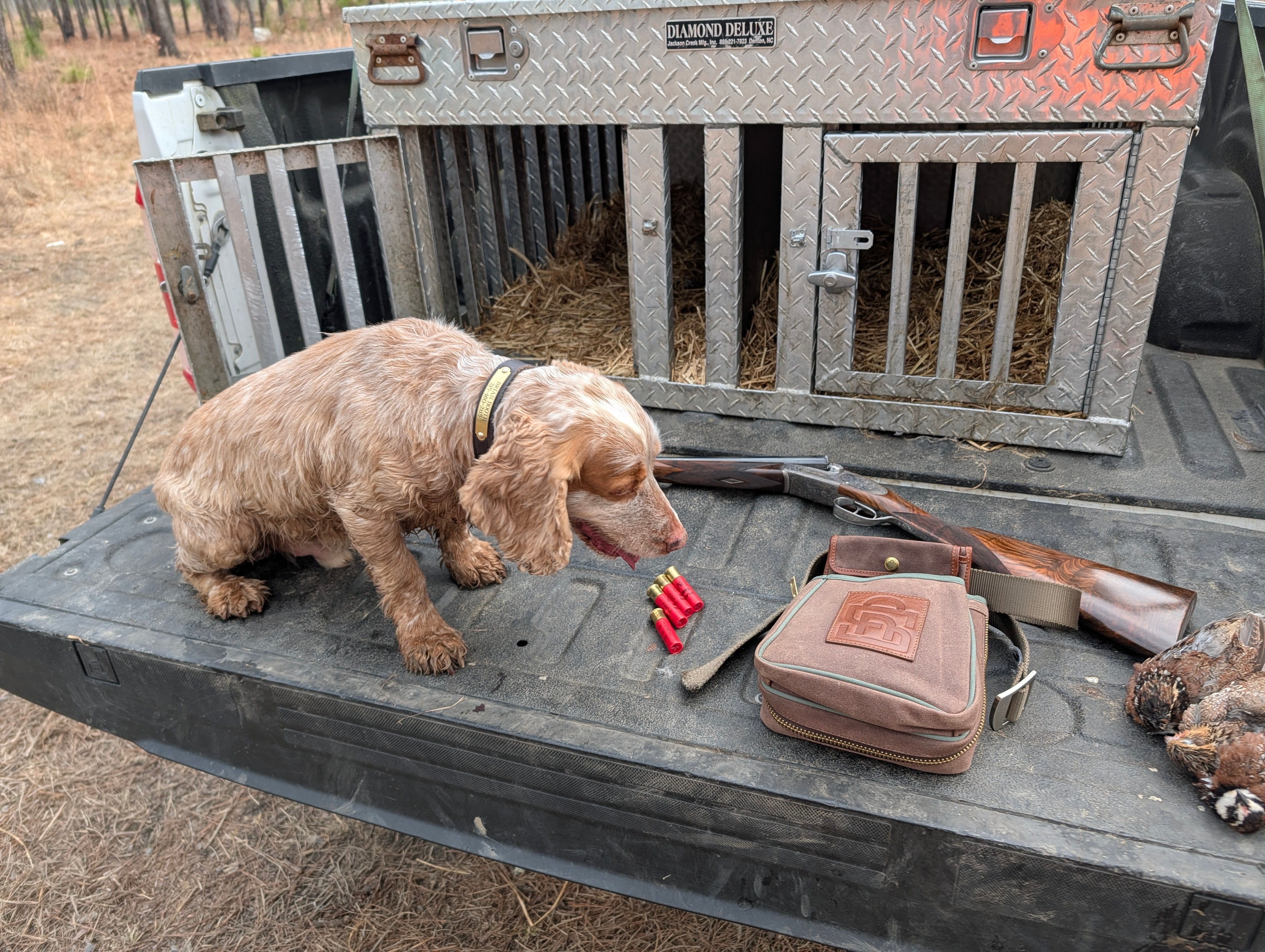 Back Woods Quail Club